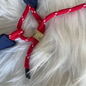 Miu Miu | Accessories | Miu Miu Dark Blue Visor With Red  display picture 1